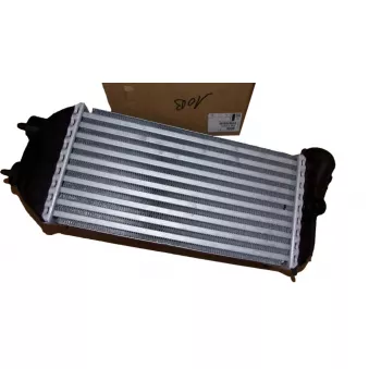 Intercooler, échangeur OE