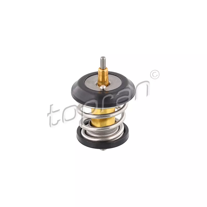 Thermostat d'eau TOPRAN 113 297