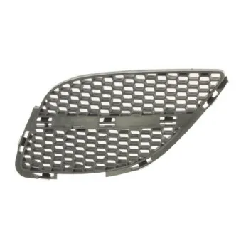 Grille de radiateur avant gauche BLIC 5513-00-1632913P