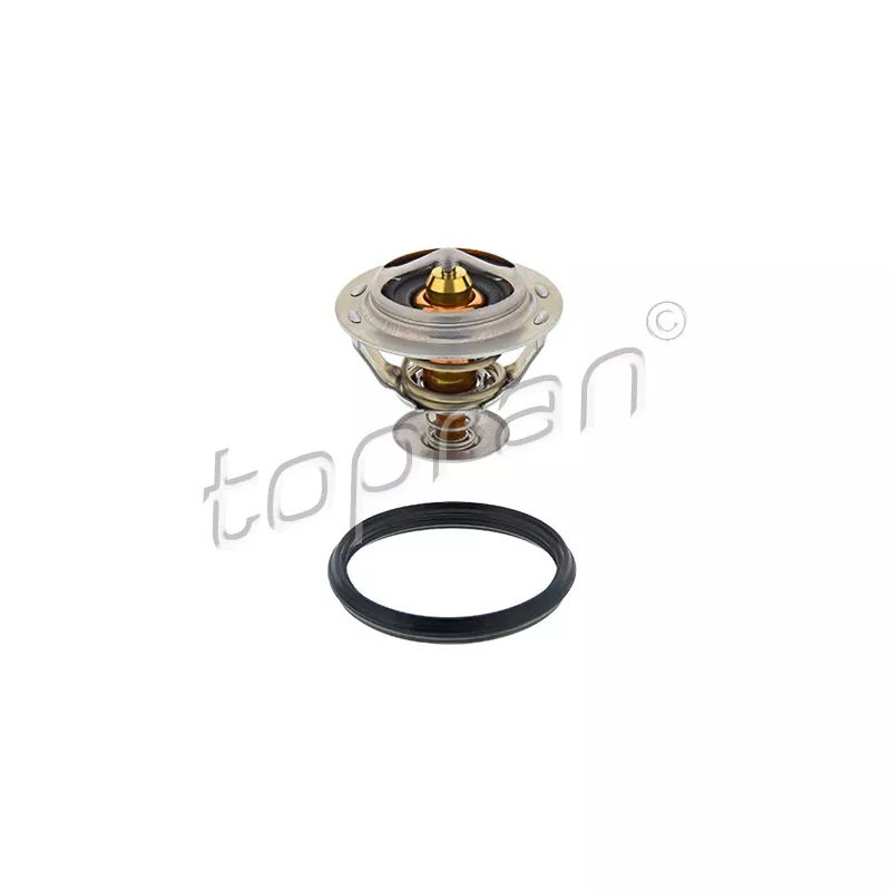 Thermostat d'eau TOPRAN 117 209