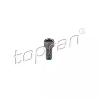 Boulon de volant moteur TOPRAN 117 243