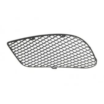 Grille de ventilation, pare-chocs avant gauche BLIC 5513-00-3529913P