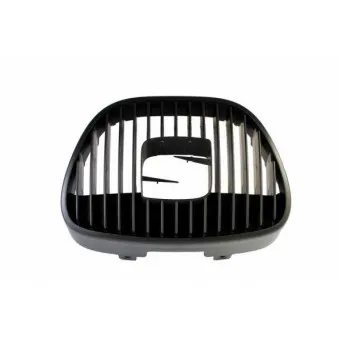 Grille de radiateur BLIC 5601-00-6609993P