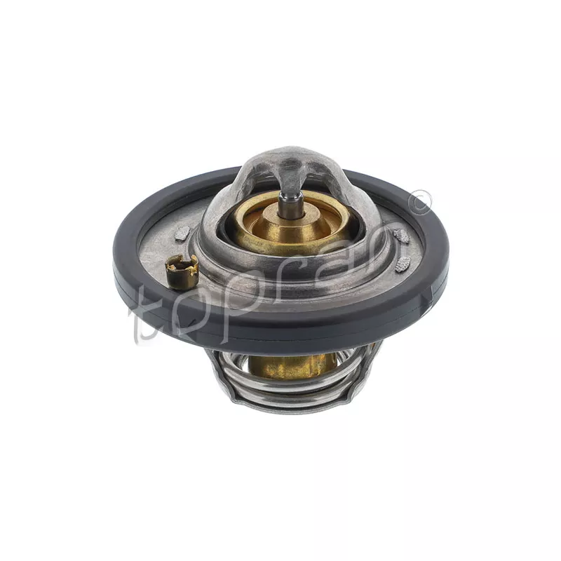 Thermostat d'eau TOPRAN 304 171