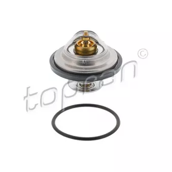 Thermostat d'eau TOPRAN 500 542