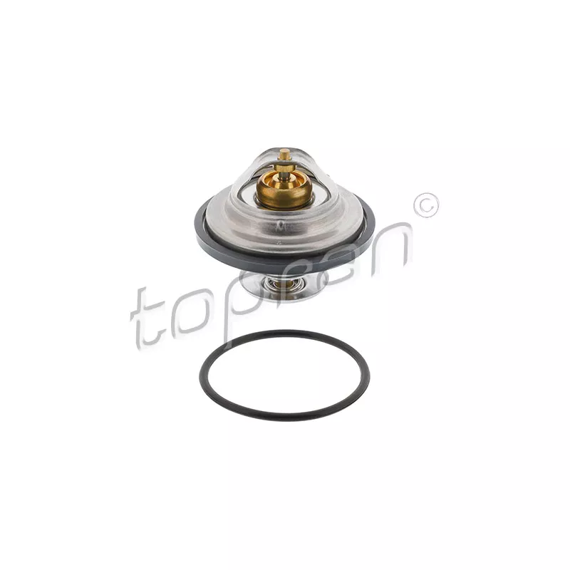 Thermostat d'eau TOPRAN 500 542