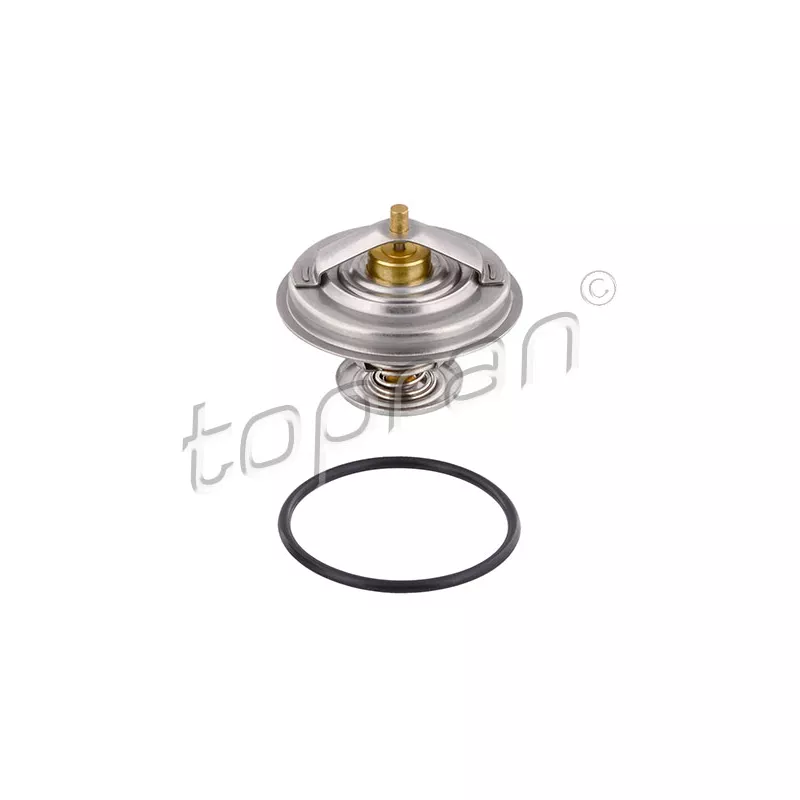 Thermostat d'eau TOPRAN 500 543