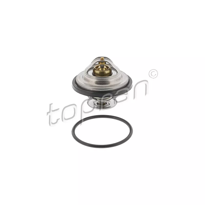 Thermostat d'eau TOPRAN 500 544