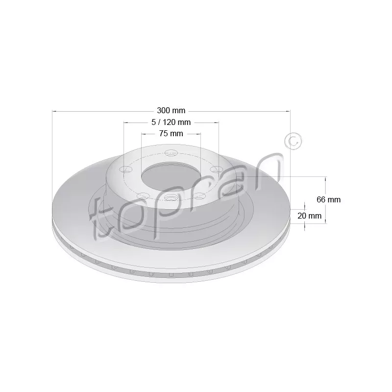 Jeu de 2 disques de frein arrière TOPRAN 501 902