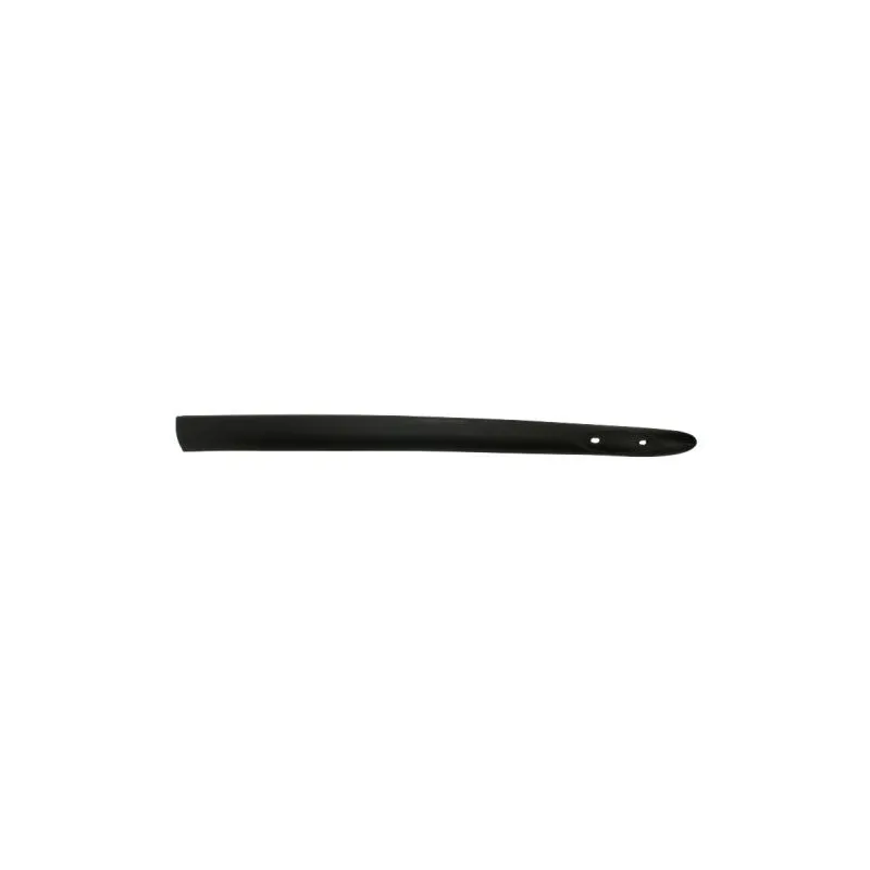 Baguette et bande protectrice, aile avant droit BLIC 5703-04-6032572P