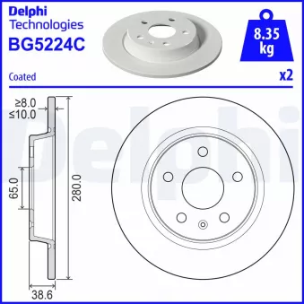 Jeu de 2 disques de frein arrière DELPHI BG5224C