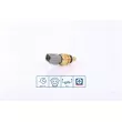 Sonde de température, liquide de refroidissement NISSENS 207048 - Visuel 1