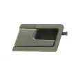 Poignet de porte, équipment intérieur avant gauche BLIC 6010-01-013409PP - Visuel 1