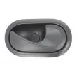 Poignet de porte, équipment intérieur avant droit BLIC 6010-09-049408P - Visuel 1