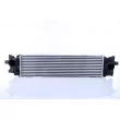 Intercooler, échangeur NISSENS 961265 - Visuel 1