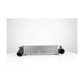 Intercooler, échangeur BSG BSG 15-535-009