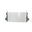 Intercooler, échangeur BSG BSG 65-535-002 - Visuel 1