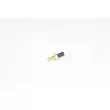 Sonde de température, liquide de refroidissement BSG BSG 65-840-035 - Visuel 1