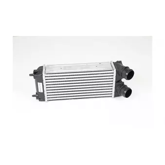 Intercooler, échangeur BSG