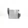 Intercooler, échangeur BSG BSG 70-535-008 - Visuel 1