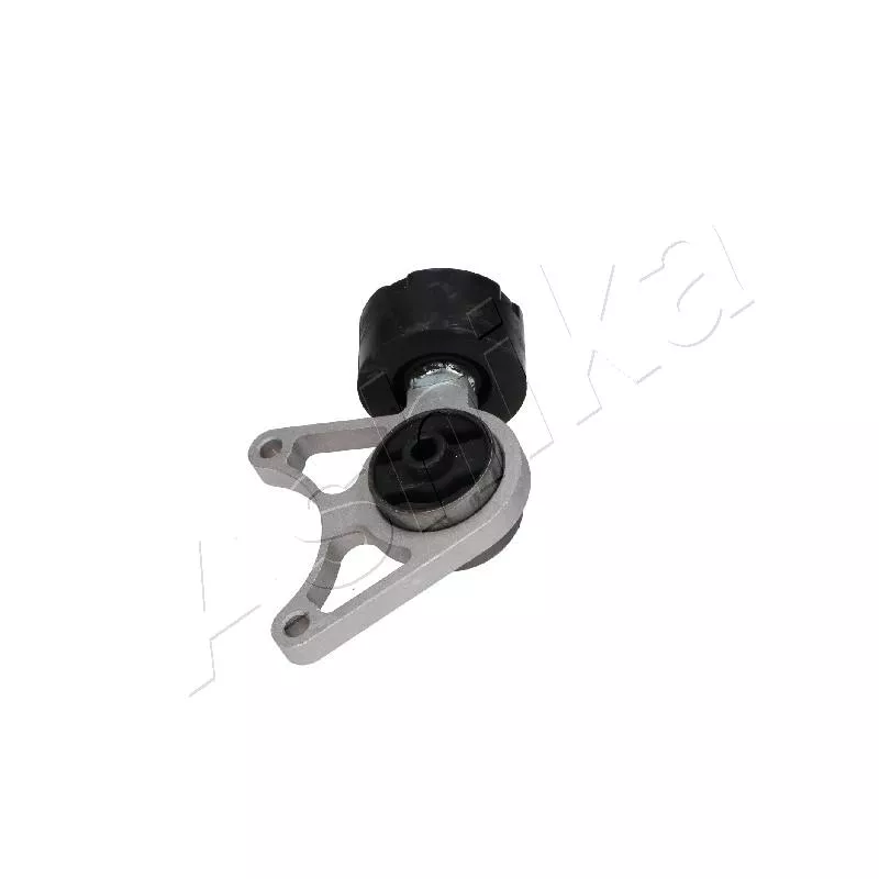 Suspension, Différentiel ASHIKA GOM-L41