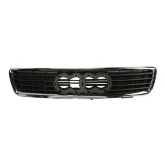 Grille de radiateur BLIC 6502-07-0018992P