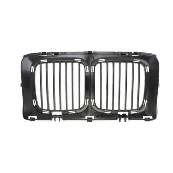 Grille de radiateur BLIC 6502-07-0057990P