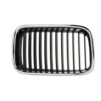 Grille de radiateur BLIC 6502-07-0060992P