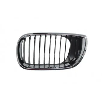 Grille de radiateur BLIC 6502-07-0061991AQ