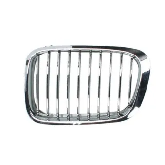 Grille de radiateur BLIC 6502-07-0061991P