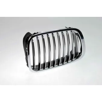 Grille de radiateur BLIC 6502-07-0061992P