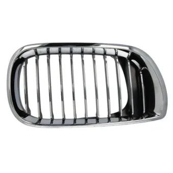 Grille de radiateur BLIC 6502-07-0061992PP