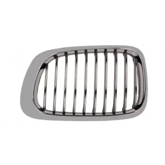 Grille de radiateur BLIC 6502-07-0061993LP