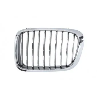 Grille de radiateur BLIC