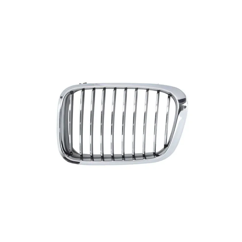 Grille de radiateur BLIC 6502-07-0061993Q