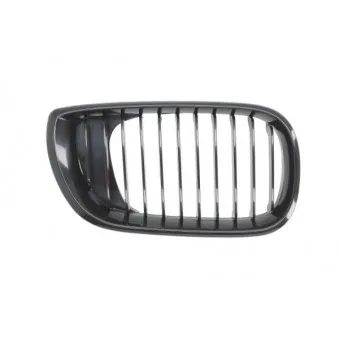 Grille de radiateur avant droit BLIC 6502-07-0061994BP