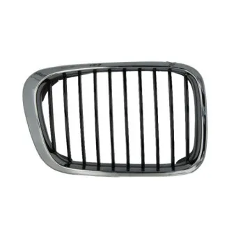 Grille de radiateur avant droit BLIC 6502-07-0061994P