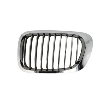 Grille de radiateur avant gauche BLIC 6502-07-0061996LP