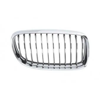 Grille de radiateur avant droit BLIC 6502-07-0062992PQ