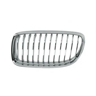 Grille de radiateur BLIC 6502-07-0062993PP