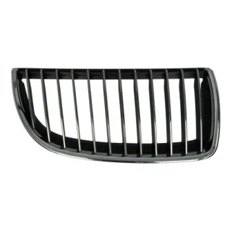 Grille de radiateur avant droit BLIC 6502-07-0062994P