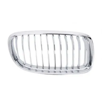 Grille de radiateur BLIC 6502-07-0062994PP