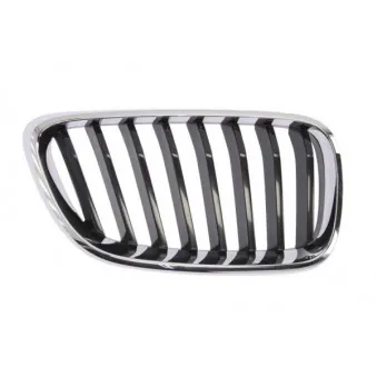 Grille de radiateur BLIC 6502-07-0069992P