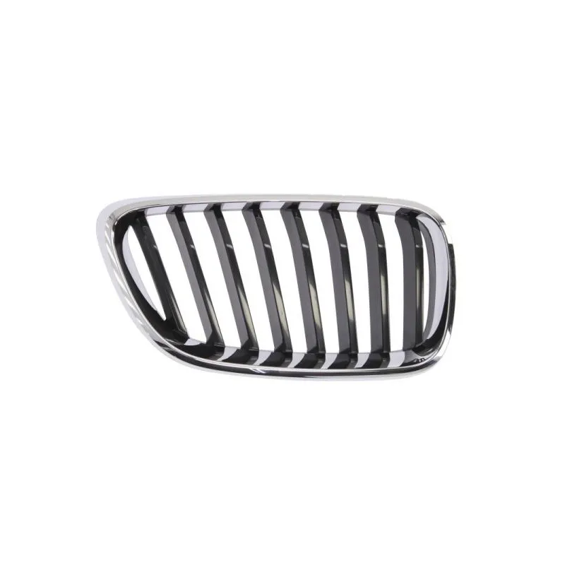 Grille de radiateur BLIC 6502-07-0069992P