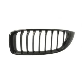 Grille de radiateur avant gauche BLIC 6502-07-00709911P