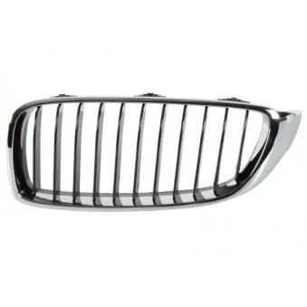 Grille de radiateur BLIC 6502-07-0070991P