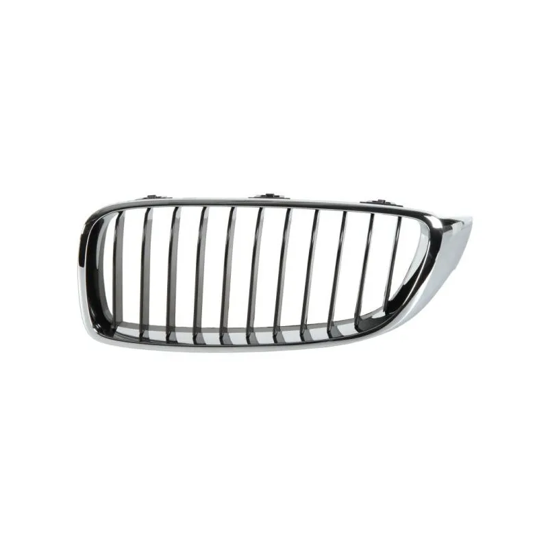 Grille de radiateur BLIC 6502-07-0070991P