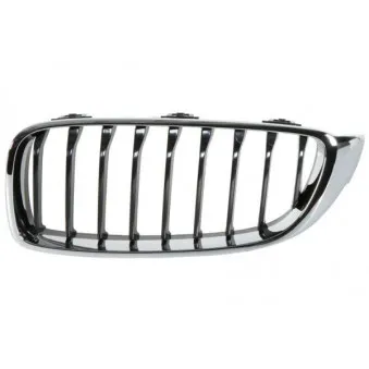 Grille de radiateur BLIC 6502-07-0070995P