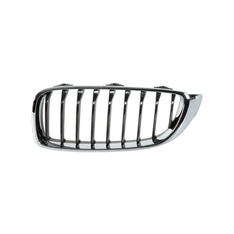 Grille de radiateur BLIC 6502-07-0070995P