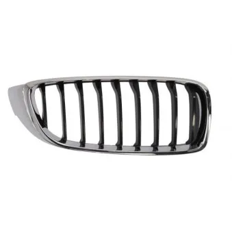 Grille de radiateur BLIC 6502-07-0070996P